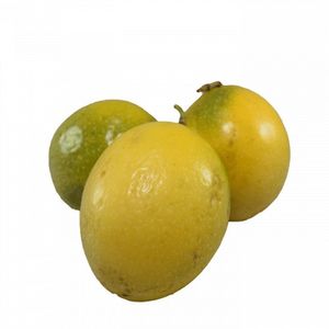 Maracuya Kilo 1000 g