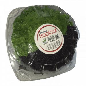 Lechuga Gourmet Tropical 120 g