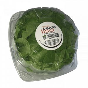 Lechuga Gourmet Lisa Verde 120 g